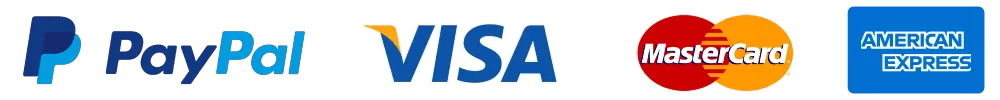 PayPal, VISA, MasterCard, and American Express